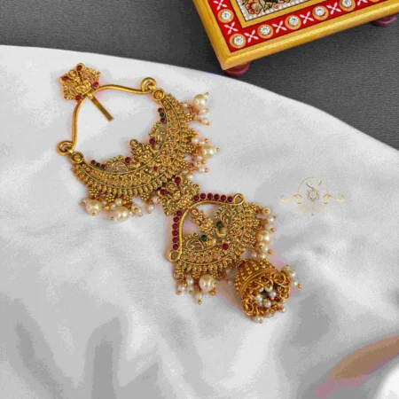 Beautiful Goddess Lakshmi Jada Billa